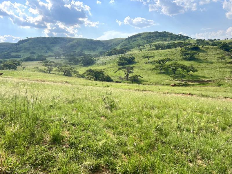 0 Bedroom Property for Sale in Harrismith Free State